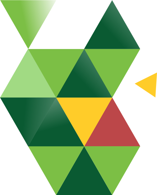 CZV_Web_deliciGrafika